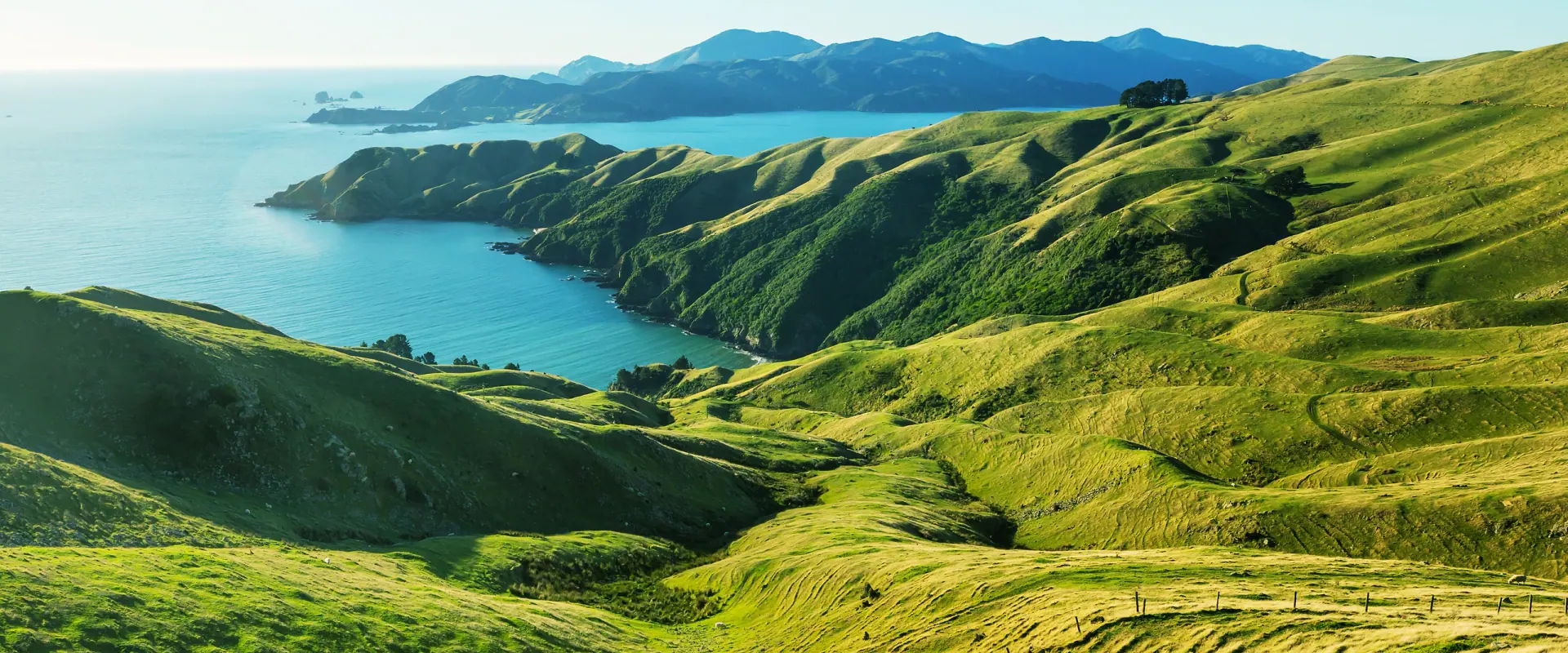 Vista de Nueva Zelanda