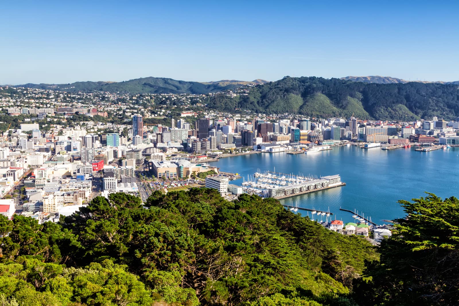 Vista de Wellington